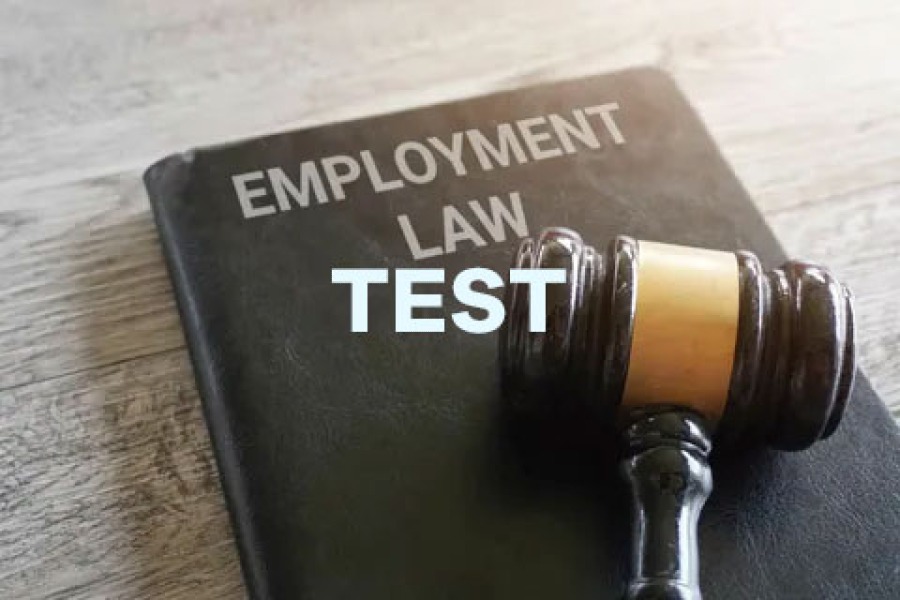 Employment Law
